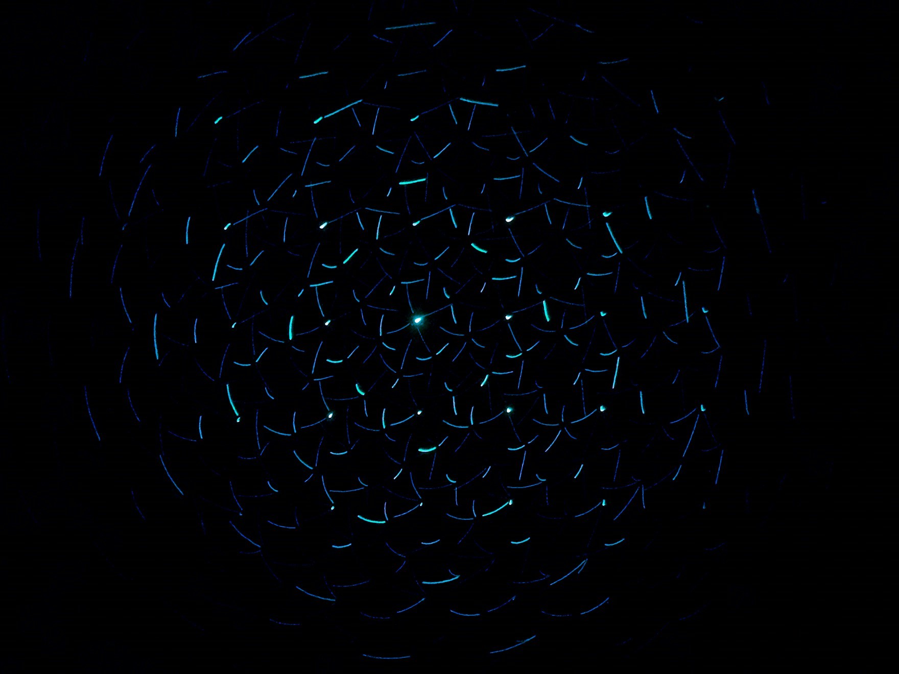 Проектное обучение